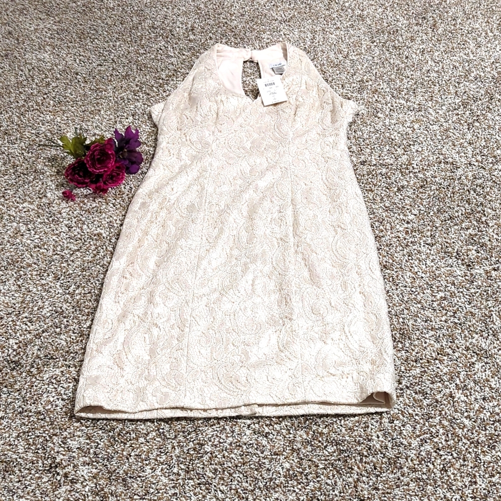 Cache Dress NWT